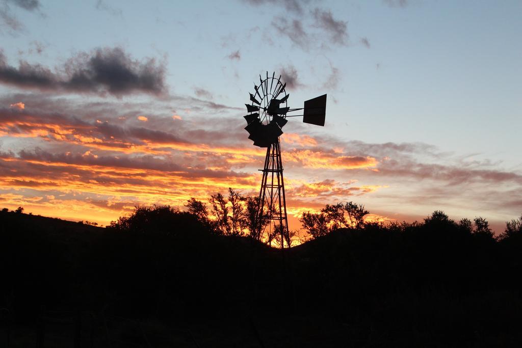 Denmark Farm Stay Cradock Rum bild