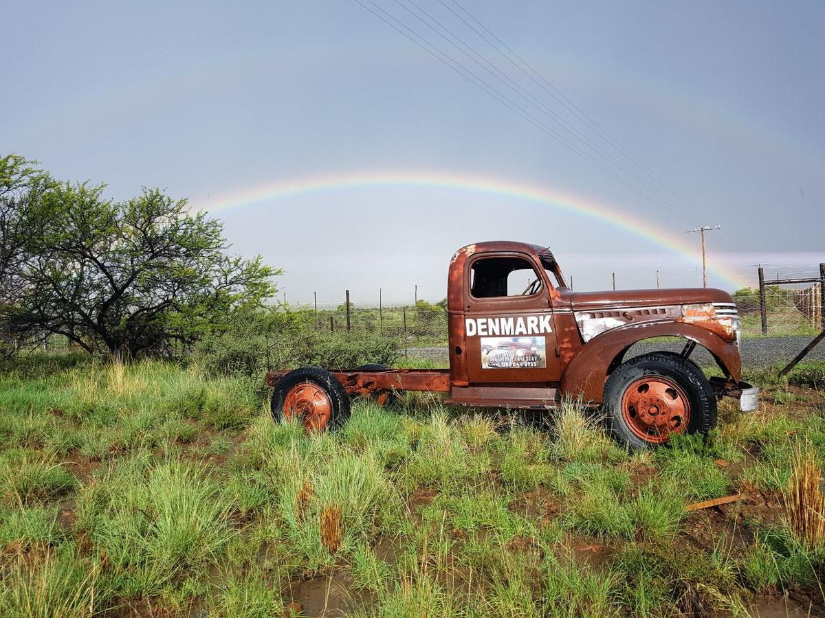 Denmark Farm Stay Cradock Rum bild